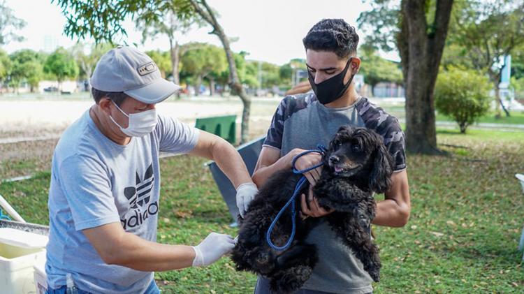 Prefeitura de Macapá prorroga campanha de vacinação antirrábica na capital