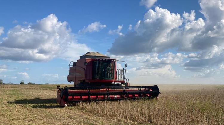 Macapá inicia colheita de soja para exportar à Guiana Francesa