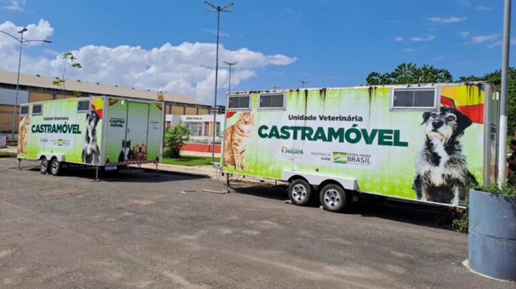 Céu das Artes Zona Sul é o novo ponto para atendimentos do Castramóvel Itinerante