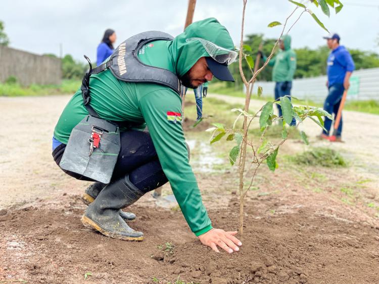 Macapá cidade verde: Prefeitura inicia corredor de biodiversidade de 1km na Fazendinha