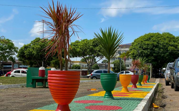Prefeitura de Macapá orienta que a população denuncie furto de plantas em espaços públicos