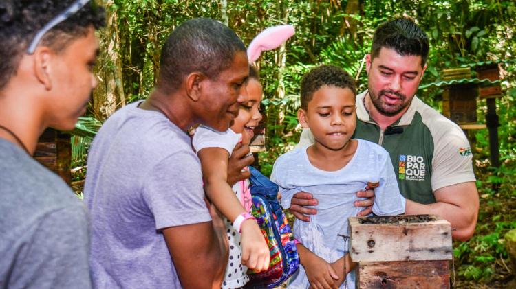 Bioparque da Amazônia reabre Meliponário com aproximadamente 100 mil abelhas sem ferrão