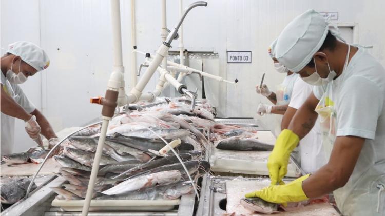 Governo do Amapá mapeia rota do pescado para analisar formas de potencializar setor pesqueiro
