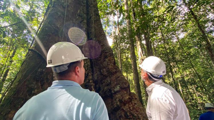 Governador Clécio Luís apresenta política de manejo florestal no Amapá para países da União Europeia
