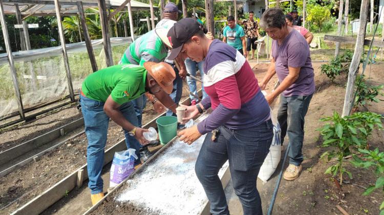 Técnicos de extensão rural da prefeitura recebem treinamento em manejo integrado de pragas￼