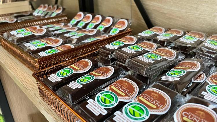 COP 28: Amapá vai apresentar a mais de 190 países os avanços na bioeconomia e o uso sustentável dos produtos da floresta
