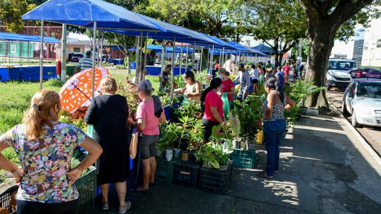 Da farinha ao peixe, Feira Agricultura e Arte movimenta produtos da economia criativa em Macapá