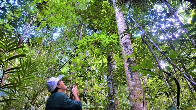 Edital no valor de R$ 30 milhões vai atender projetos sobre bioeconomia e transformação digital na Amazônia