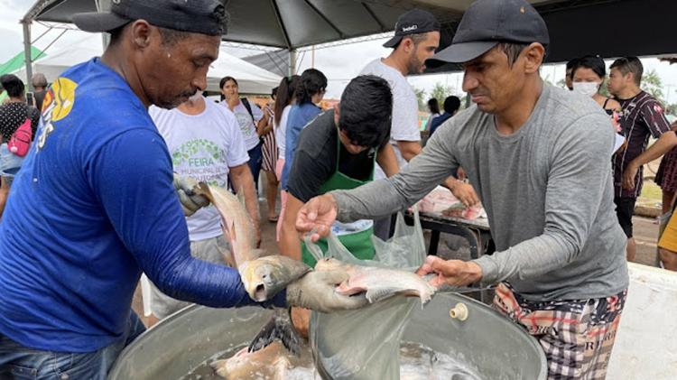 Feira do Agro em Pedra Branca comercializa produtos da agricultura familiar